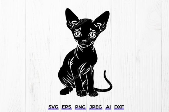 Sphynx Kitten SVG PNG - Hairless Cat Svg